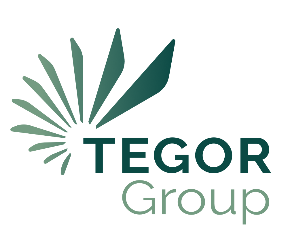 TEGOR Group